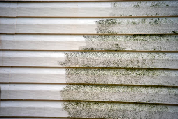 Best Mattress Disposal  in Taylorsville, MS
