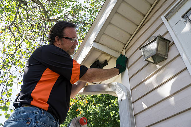 Best Carpet Removal and Disposal  in Taylorsville, MS
